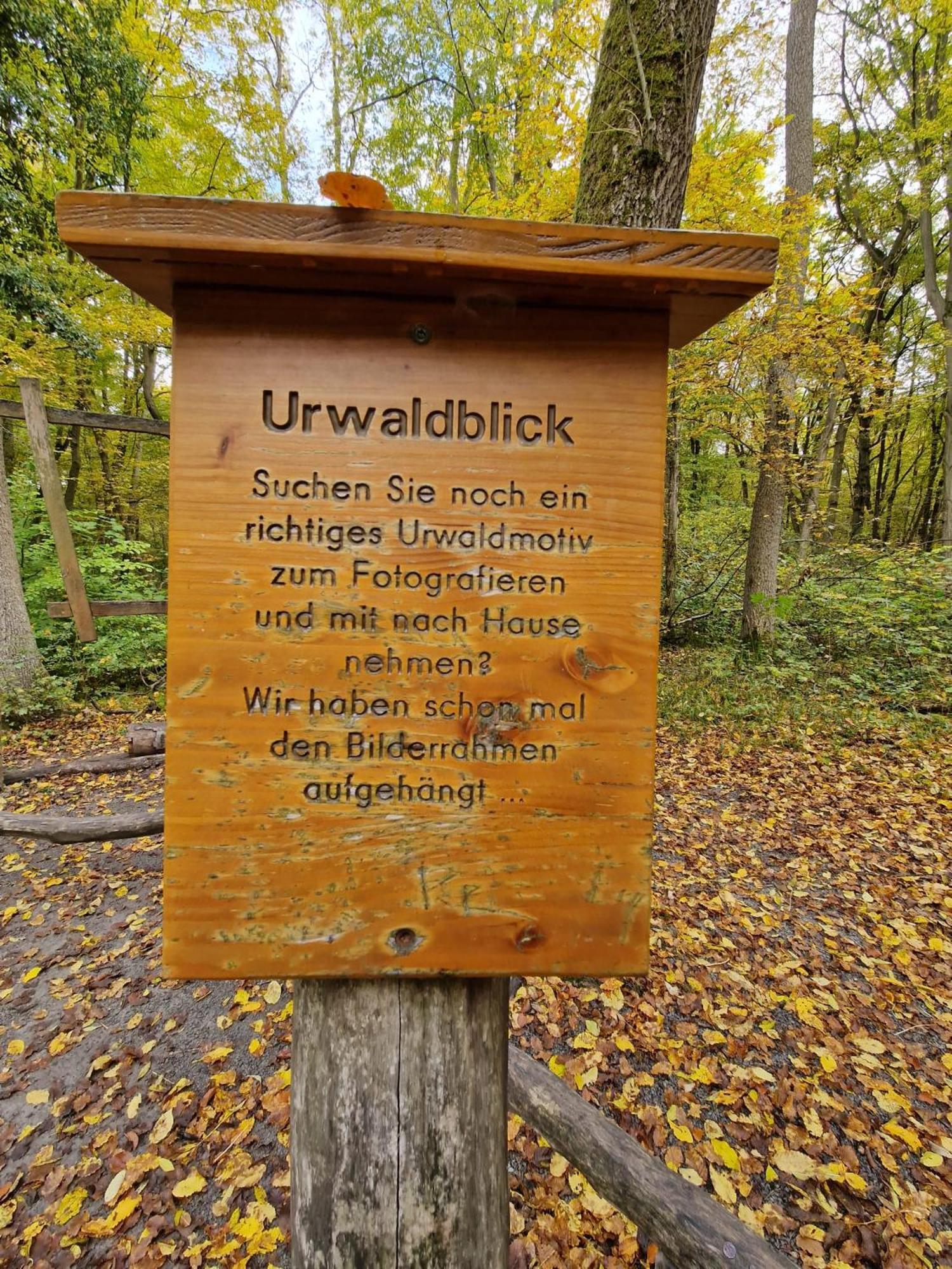 B&B Talstation Horselberg-Hainich Eksteriør bilde